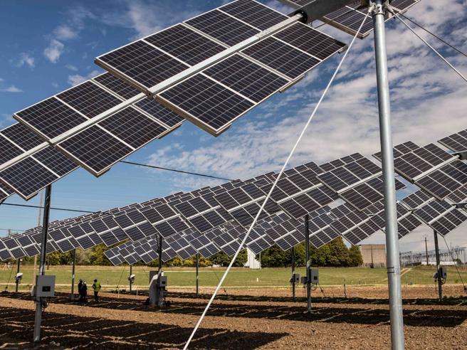 Agrivoltaico a Cosenza: pannelli sollevati per agricoltura efficiente