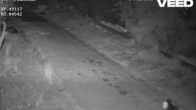 Catania, un cane addestrato per smaltire rifiuti in discariche abusive